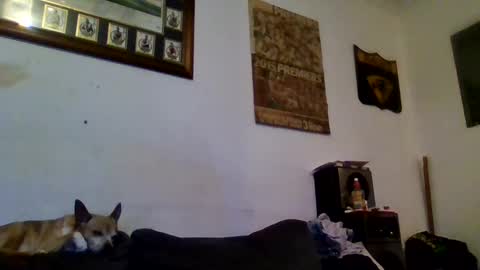 Sexiishaine online show from 02-13-25, 10:00