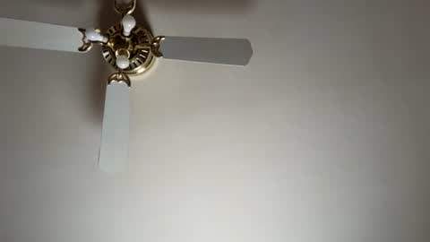 nicholasweber21 online show from 06-12-26, 10:19