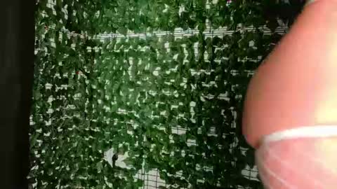 nicoleirisxxx online show from 07-03-26, 05:36