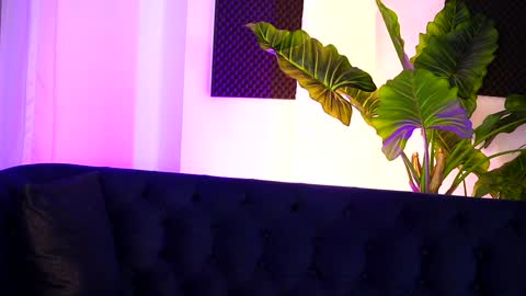 Snapshot of nicolesarahx chatting on 12-19-24, 11:35 Sarah online show from 12-19-24, 11:35