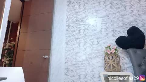 nicolle4 online show from 06-11-26, 02:22