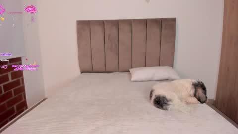 Snapshot of niicoleta2 chatting on 06-17-26, 09:23 Niicoleta online show from 06-17-26, 09:23