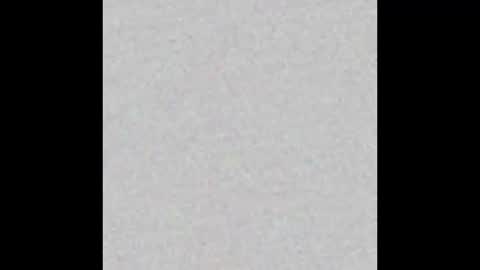 Nikki Ramone   online show from 01-19-26, 11:14