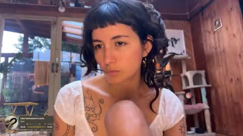 Nina.  online show from 12-18-25, 08:15