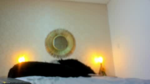 Snapshot of ninalens_cs chatting on 03-27-26, 10:53 ninalens_cs online show from 03-27-26, 10:53