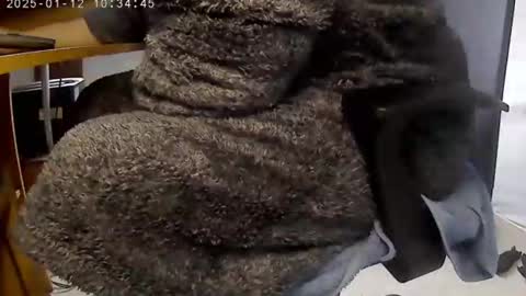 nineinchhard online show from 01-12-25, 10:34