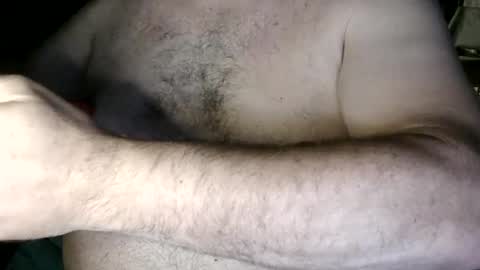 Nip Fun Bear online show from 09-25-25, 01:42