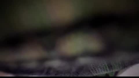 Snapshot of nloraaa chatting on 02-25-25, 05:08 Tears Lora online show from 02-25-25, 05:08