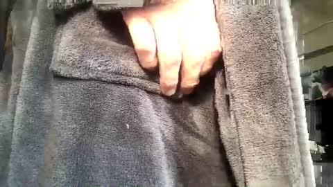 no123love online show from 01-10-26, 09:41