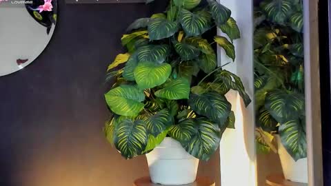 Noah  online show from 03-20-26, 03:22