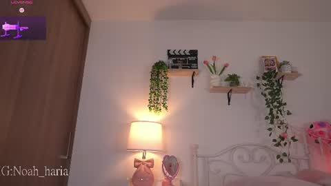 noah__23 online show from 06-20-26, 11:07