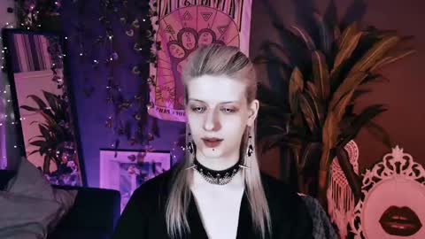 Snapshot of noah_elmer chatting on 05-27-26, 03:31 REAL name LiaDM are always open online show from 05-27-26, 03:31