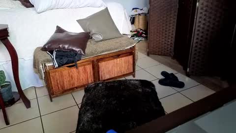 nobudget06 online show from 02-25-25, 11:00