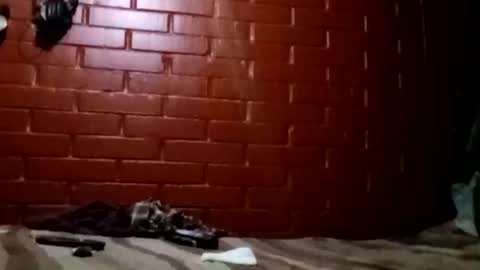 Snapshot of nocturnus1980 chatting on 02-02-26, 07:29 nocturnus1980 online show from 02-02-26, 07:29