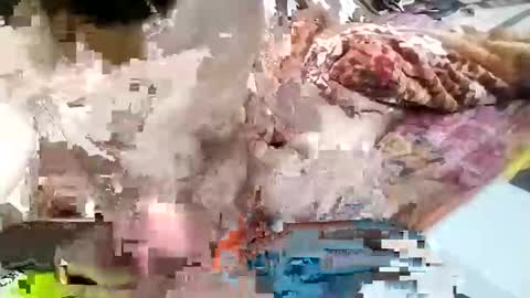 sim  nib online show from 01-26-25, 09:29