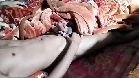 sim  nib online show from 01-28-25, 06:38