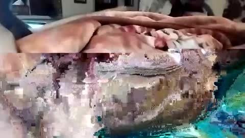 sim  nib online show from 03-01-25, 10:31