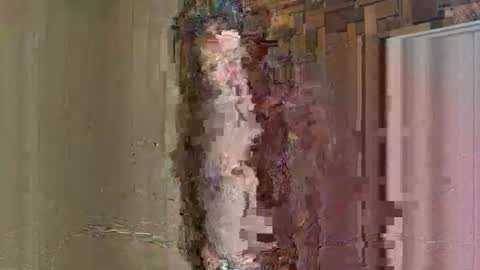 NoodsOverNudes online show from 05-26-26, 02:46