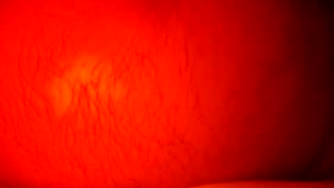 norbitomii online show from 09-24-25, 10:57