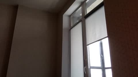 Snapshot of north_justin chatting on 03-05-26, 12:23 Justin online show from 03-05-26, 12:23