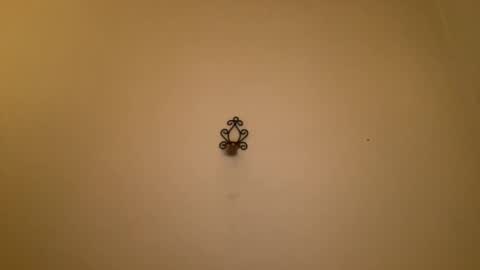 Snapshot of noscandal chatting on 02-21-25, 12:16 noscandal online show from 02-21-25, 12:16