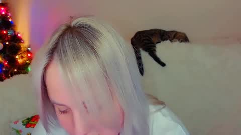 Snapshot of not_nakedcat chatting on 12-18-24, 07:52 hi glad to chat online show from 12-18-24, 07:52