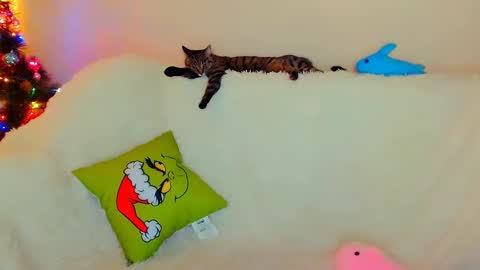 Snapshot of not_nakedcat chatting on 12-26-24, 07:56 hi glad to chat online show from 12-26-24, 07:56