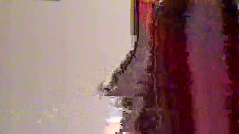 Snapshot of novahexx chatting on 04-13-26, 01:22 novahexx online show from 04-13-26, 01:22