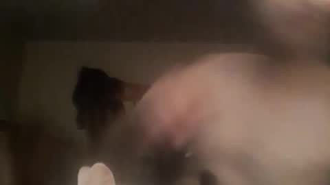 Snapshot of novasocia chatting on 09-23-25, 04:26 novasocia online show from 09-23-25, 04:26