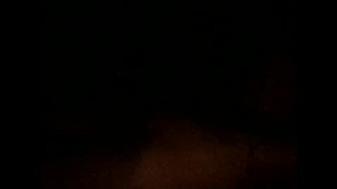 Snapshot of nxleon chatting on 12-09-24, 11:36 nxleon online show from 12-09-24, 11:36