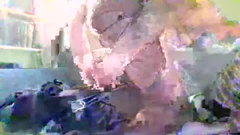 NYlonloversFFM online show from 01-17-26, 07:17