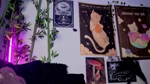   online show from 04-21-26, 02:51