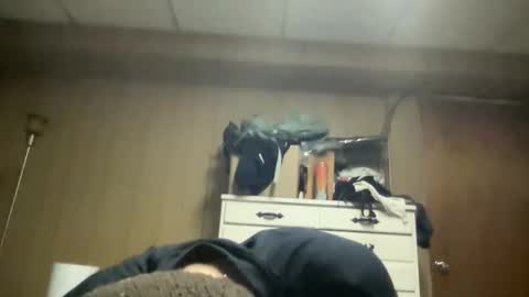 Snapshot of nyyanks232 chatting on 03-22-26, 05:55 harvestmoon online show from 03-22-26, 05:55