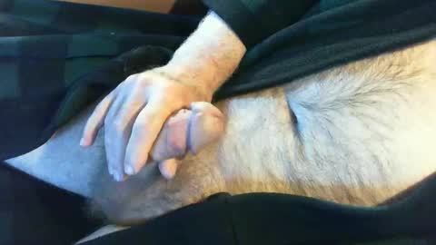 o269x2 online show from 06-04-26, 10:21