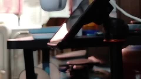 Snapshot of obsidian_stallion chatting on 07-19-26, 10:35 Obsidian stallion online show from 07-19-26, 10:35