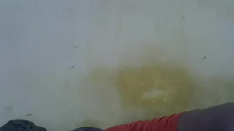 Snapshot of oceanwavves chatting on 05-16-26, 11:46 Paloma online show from 05-16-26, 11:46