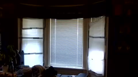 Snapshot of oflores77 chatting on 04-06-26, 01:12 oscar flores online show from 04-06-26, 01:12