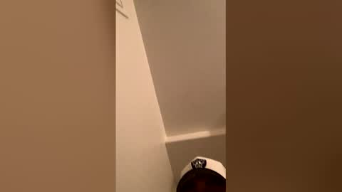 ognemomonies online show from 02-19-26, 10:33