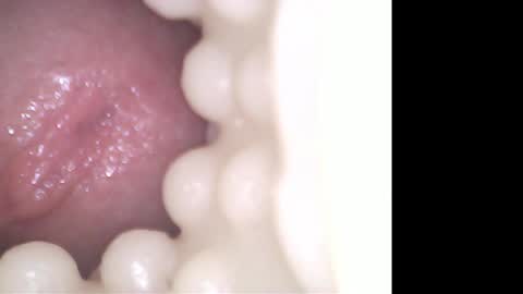 ohioguy4201985 online show from 04-21-26, 06:34