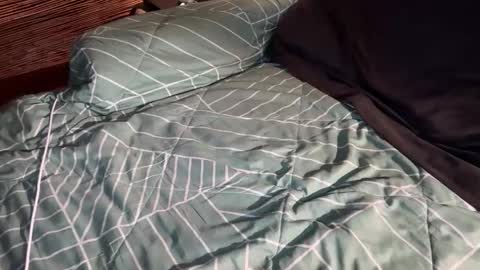 Snapshot of ohyeah2028 chatting on 03-06-26, 02:41 ohyea online show from 03-06-26, 02:41