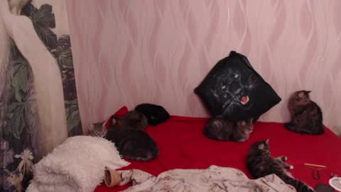 Snapshot of olivia_redd chatting on 02-05-25, 08:46 Olivia online show from 02-05-25, 08:46