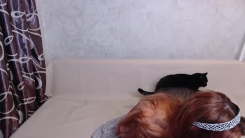 Snapshot of olivia_redd chatting on 09-14-25, 01:49 Olivia online show from 09-14-25, 01:49