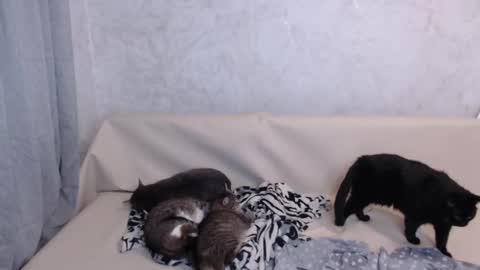 Snapshot of olivia_redd chatting on 09-19-25, 11:38 Olivia online show from 09-19-25, 11:38