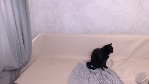 Snapshot of olivia_redd chatting on 10-05-25, 11:41 Olivia online show from 10-05-25, 11:41