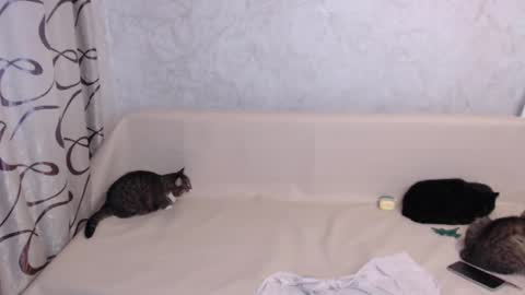 Snapshot of olivia_redd chatting on 11-03-25, 04:25 Olivia online show from 11-03-25, 04:25