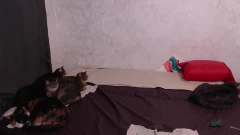 Snapshot of olivia_redd chatting on 02-04-26, 03:12 Olivia online show from 02-04-26, 03:12