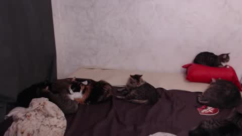 Snapshot of olivia_redd chatting on 02-04-26, 03:18 Olivia online show from 02-04-26, 03:18