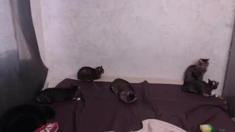 Olivia online show from 03-20-26, 12:54