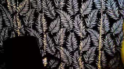 Kelly online show from 11-29-25, 03:59