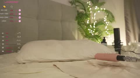 Snapshot of olsenspring chatting on 02-22-25, 10:20 Lily dont forget to follow me good to see you all online show from 02-22-25, 10:20